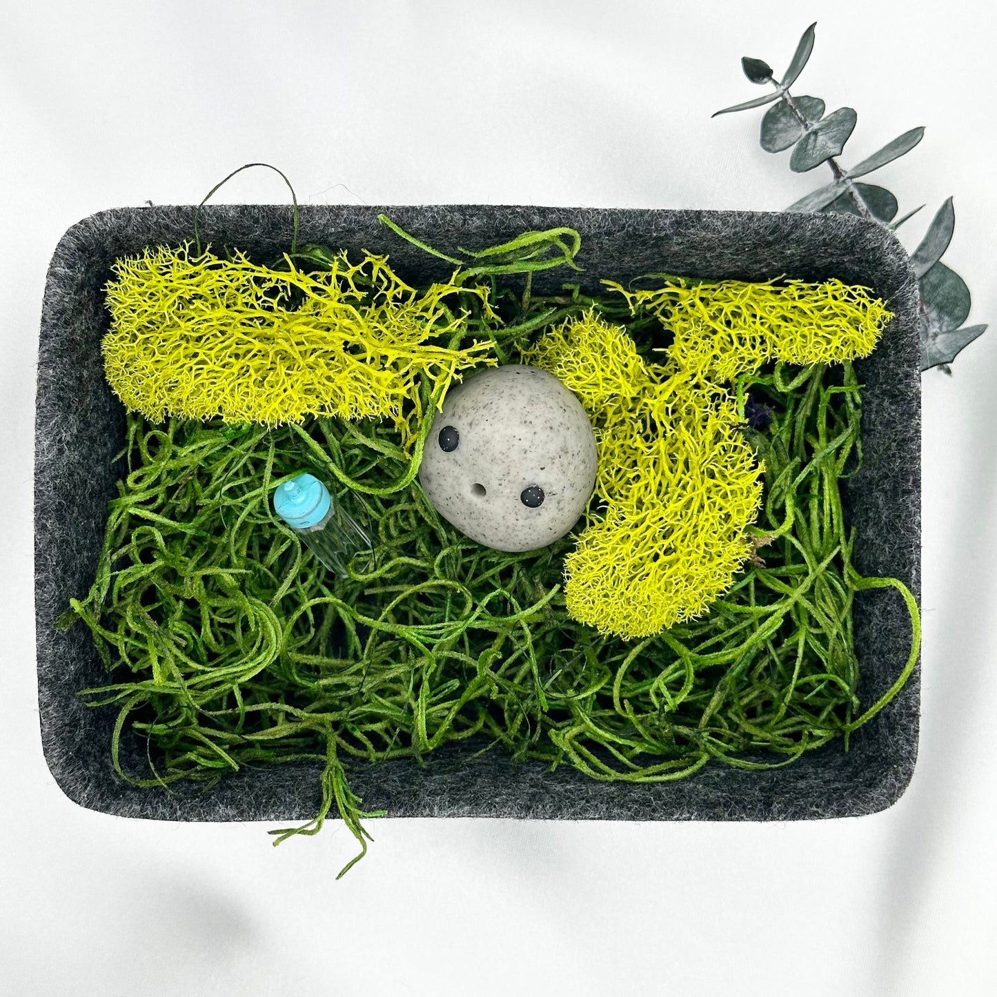 Baby Rock Pet